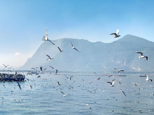 海埂大坝