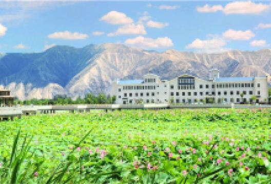 白银水川黄河湿地公园景点图片
