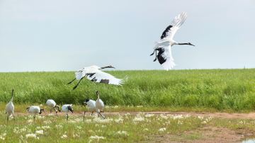 shutterstock_163234913