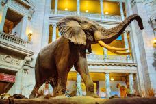 史密森博物馆-华盛顿-doris圈圈