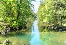 河源花儿公园景点图片