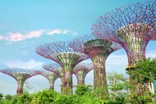 新加坡滨海湾花园-新加坡-doris圈圈