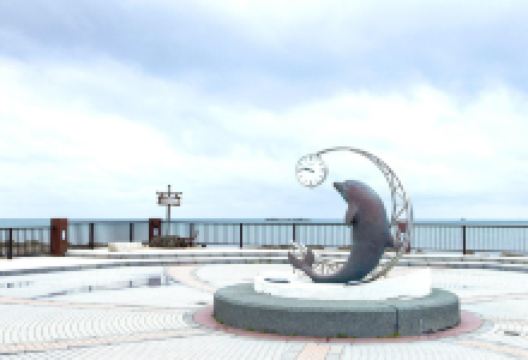 稚内公园景点图片