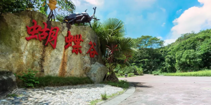 水濂山森林公園-蝴蝶谷