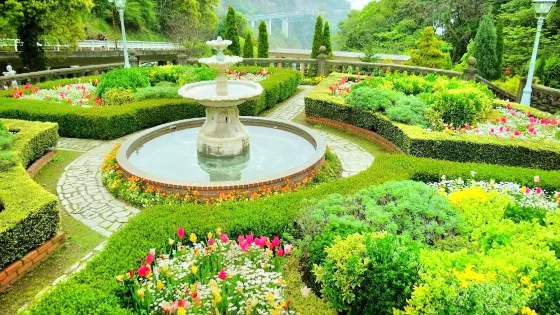 静冈赤尾香草與玫瑰園