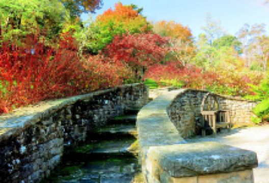 艾弗葛雷兹花园景点图片