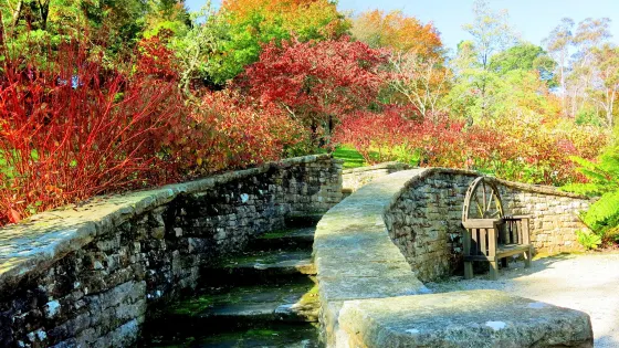艾弗葛雷茲花園