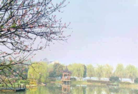 日日春庄园景点图片