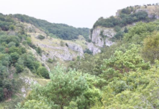 Lookout Tower景点图片
