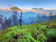 昆达山+斗亚兰+古打毛律等多地四日游