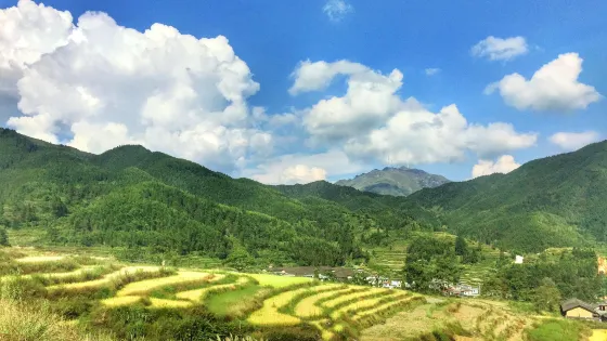 五山梯田