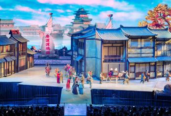 西安《驼铃传奇》秀一日游【专车接送私家团（1单1团）】【[接送服务]西安市区三环内/大唐不夜城上门接送！】