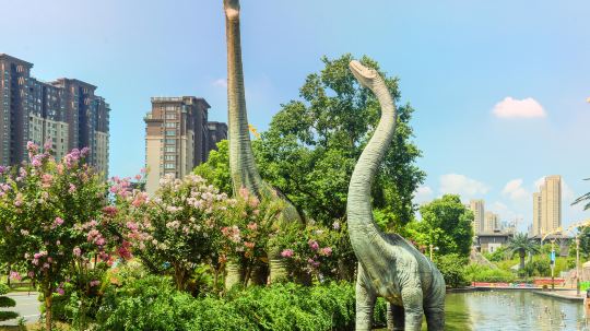 常州-迪诺水镇2