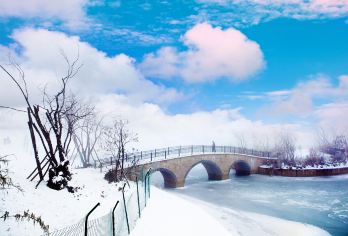 西岭雪山一日游【纯包车|三环内上门接送|无隐形消费】【[郑重承诺:保证购物赔一万]不看演出 不购物 不玩套路 不推销，只做感动人心，价格厚道的产品。】
