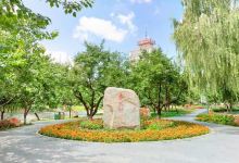 杏花村公园景点图片
