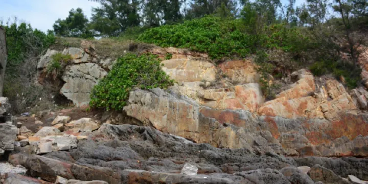 冠頭嶺國家森林公園趕海體驗