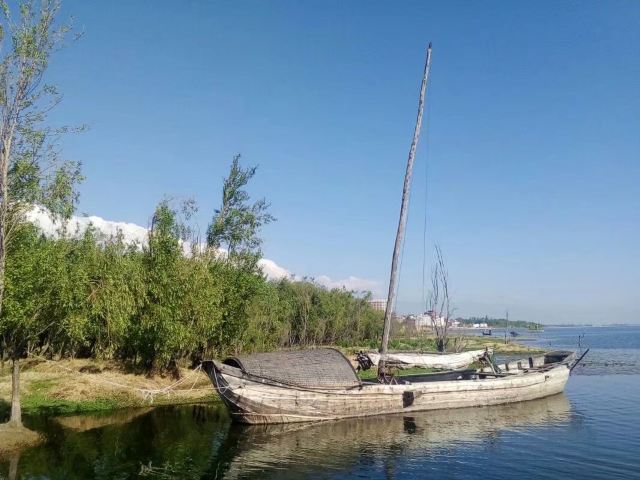 洱海月湿地公园旅行图片 5