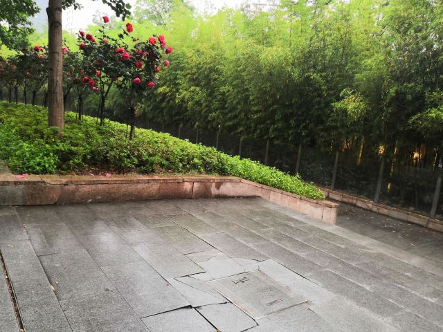 祥和公园旅行图片 3