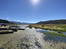 草海-盐源-雅珠111