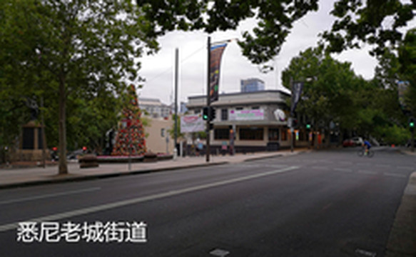 南岛游记图片] 新西兰之行                      ——悉尼转机游