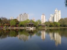 和平公园-上海-amydog