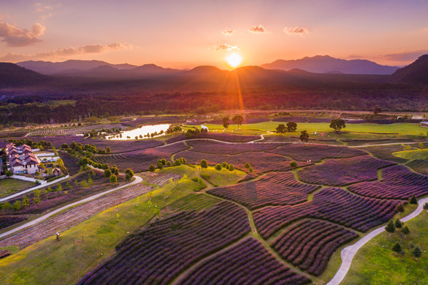 火山热气球、湿地划草排、马鞭草花海...腾冲网红景点打卡地图来袭!