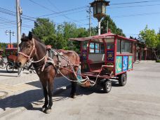 孔庙-曲阜-BetTerDAY