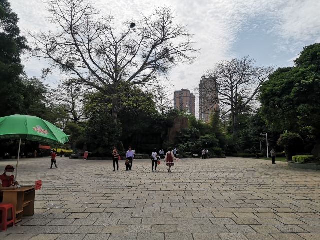 芝山公园旅行图片 3