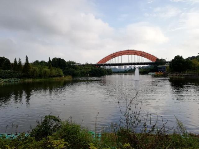 小湾河湿地公园旅行图片 1
