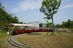 蜜月湾游记图片] 六一亲子游好地方，武汉松鼠部落，80元门票可以在里面玩一整天
