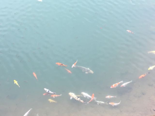 Tai Tam Waterworks Heritage Trail