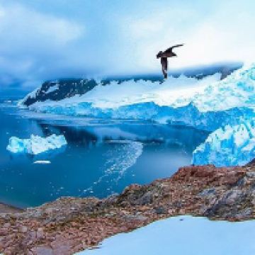 蓬塔阿雷纳斯图片