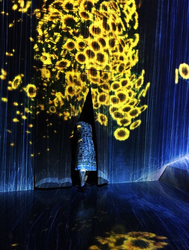 森大廈數字藝術館:teamLab Borderless