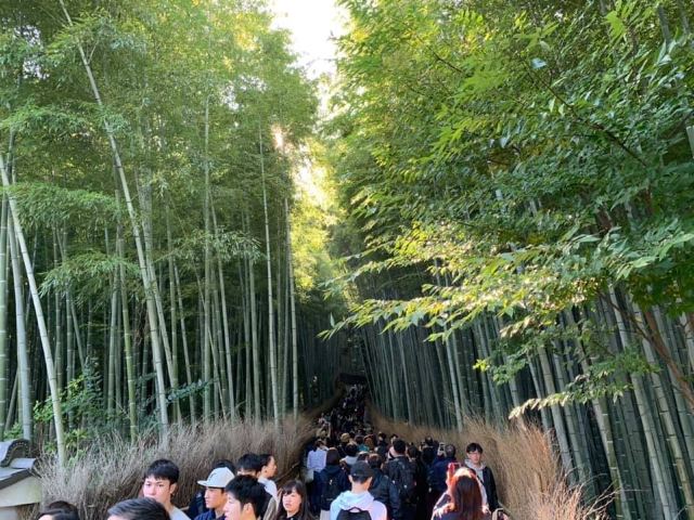 嵐山