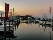 教会湾-奥克兰-M53****145