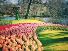 库肯霍夫公园-利瑟-Benben818