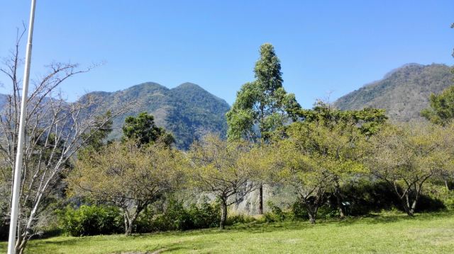 高雄宝来温泉攻略 宝来温泉门票价格多少钱 团购票价预定优惠 景点地址图片 携程攻略