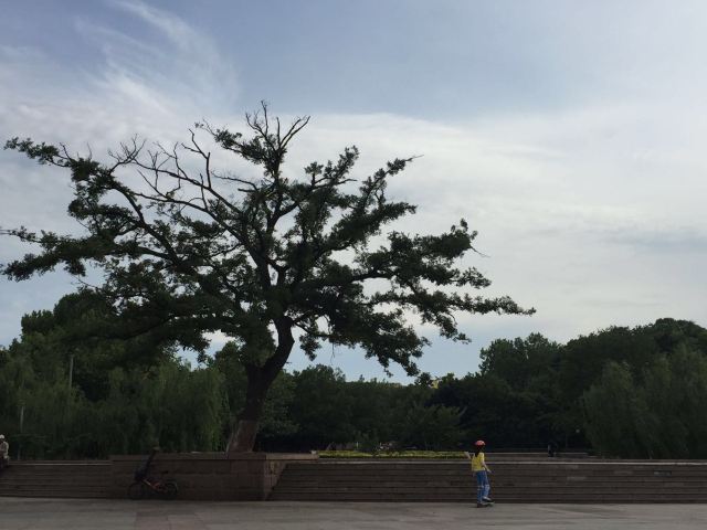 青岛市海泊河公园旅行图片 2