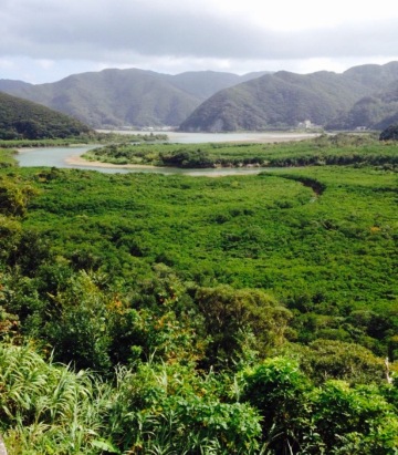National Tourism Park Mangrove Chaya餐厅图片