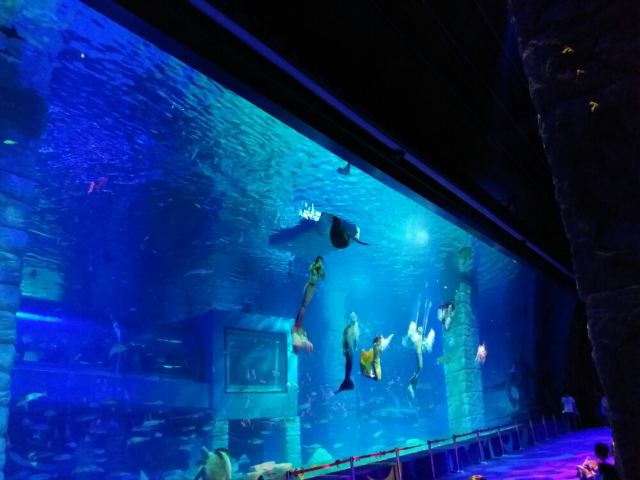 Grandview Aquarium