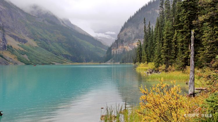 7-Day Canada Tour·Vancouver, Banff National Park, Columbia Icefield & Victoria | Fairmont Chateau Lake Louise Stay