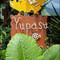 游芭丝邹宴餐厅-YUPASU Tsou Restaurant-yupasu eabobonʉ