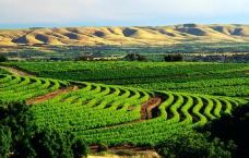 洛福迪山-洁兰-45260