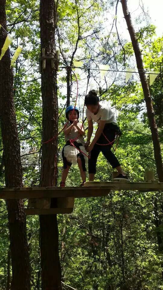 Daqishan Crazy Forest Theme Park