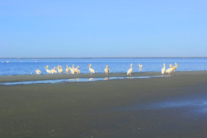 Walvis Bay（鲸湾）是一个宁静的海滨小镇，距离温得和克四五个小时车程，是一个很棒的适合长待的