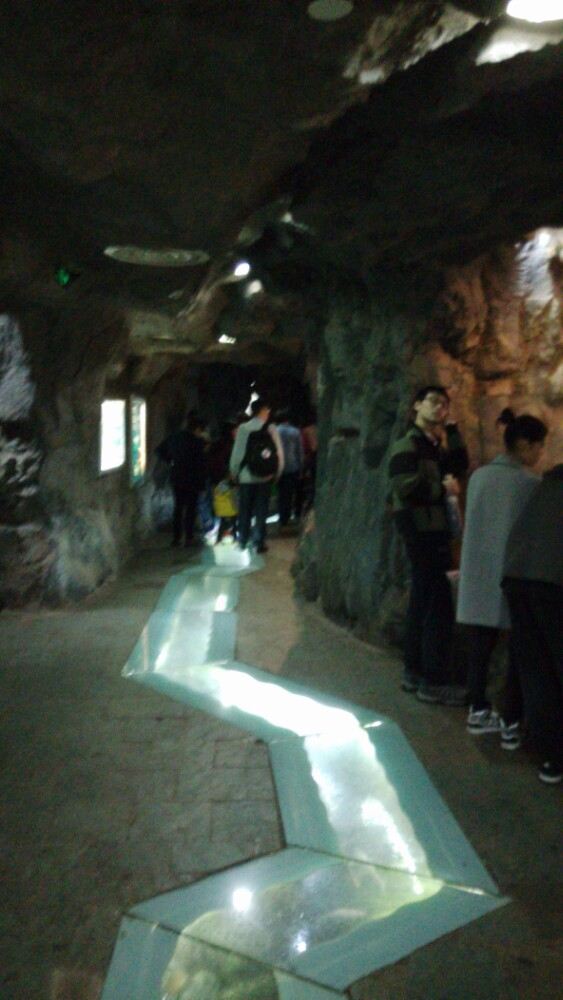 Shanghai Science and Technology Museum