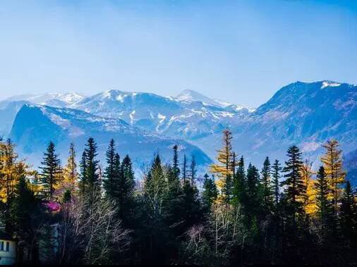 West Slope of Changbai Mountain Scenic Area