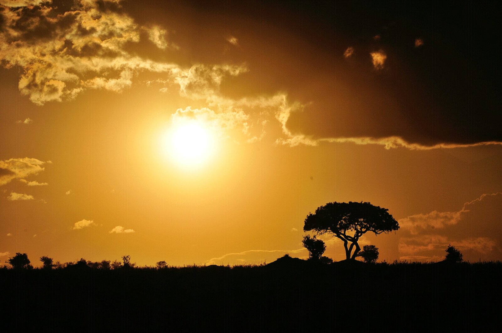 上帝视角俯瞰东非大草原的日与夜