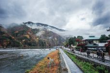 岚山-京都-doris圈圈