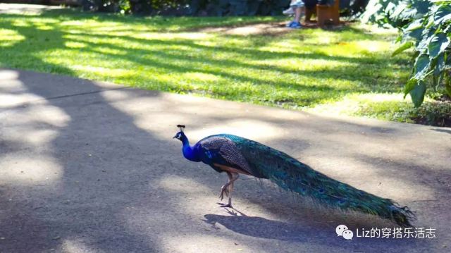 Waimea Valley